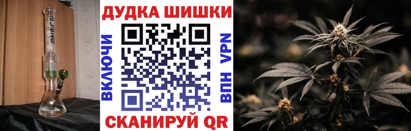 Где продают наркотики Пятигорск Cocaine  МЕФ  Псилоцибиновые грибы  blacksprut   Гашиш 