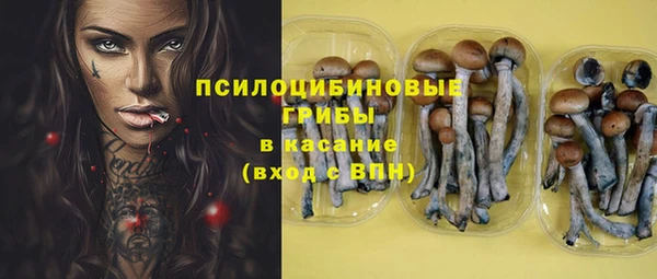 стаф Верхний Тагил