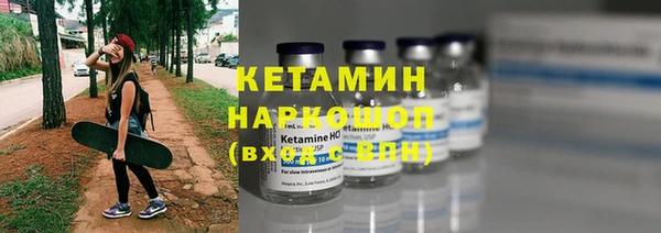 шишки Верея