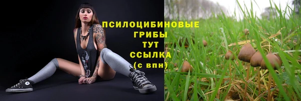 мдпв Верхнеуральск
