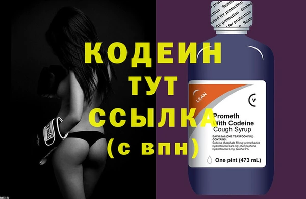 шишки Верея