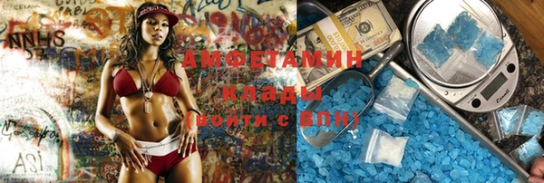 шишки Верея