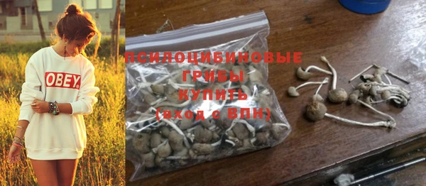 прущий лед Бронницы