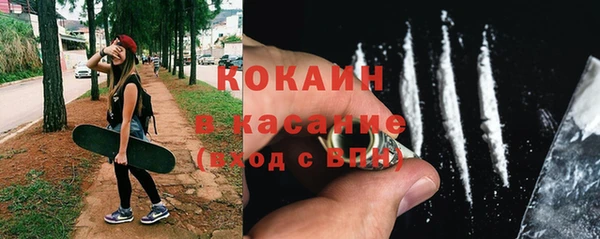 шишки Верея