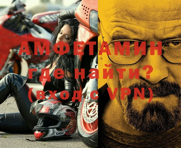 шишки Верея