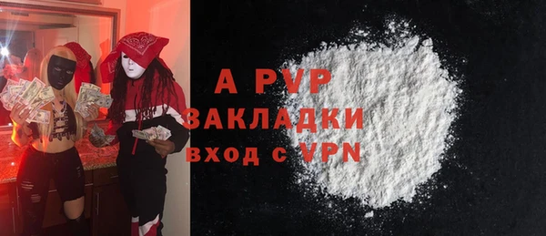 шишки Верея