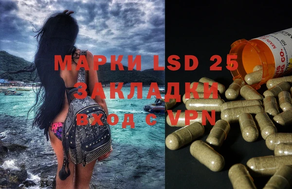 шишки Верея